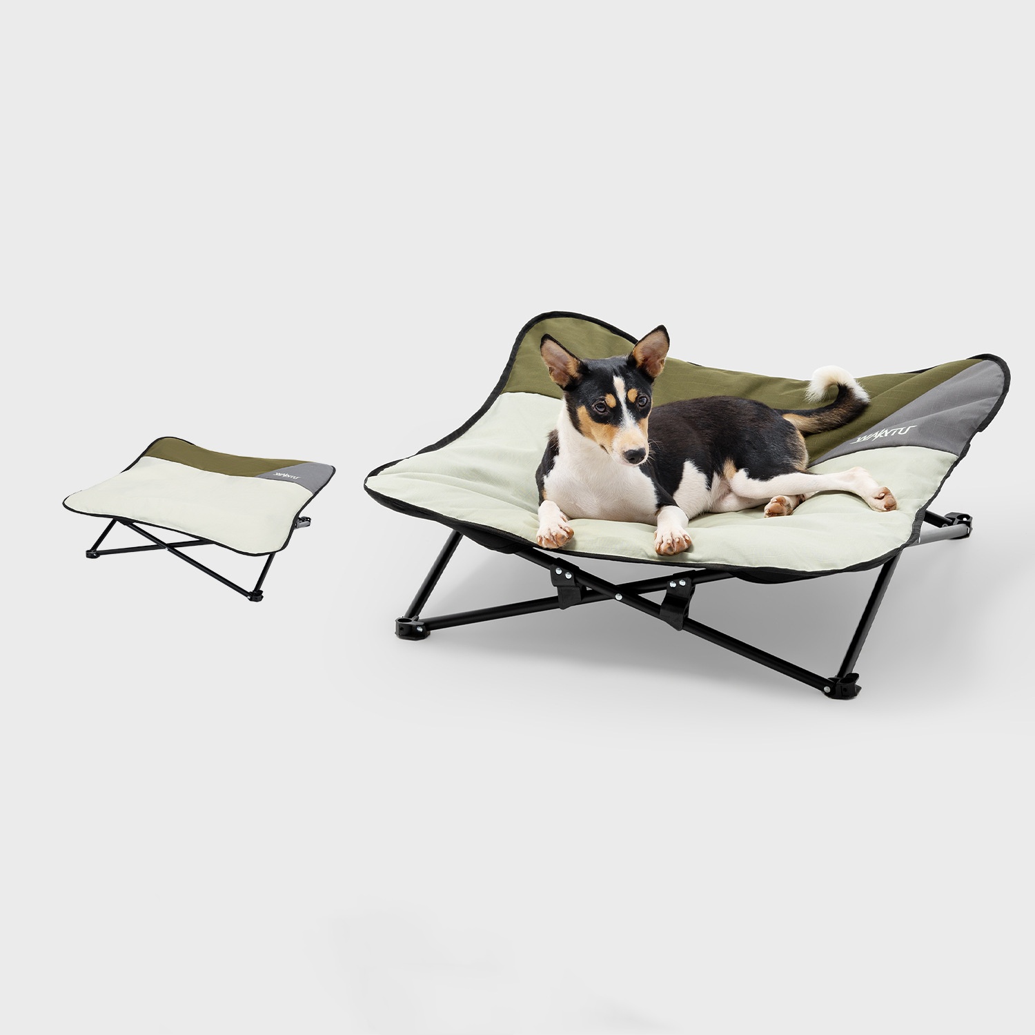 Lettino pieghevole per animali - Outdoor Camping Dog Bed recensione e prezzo