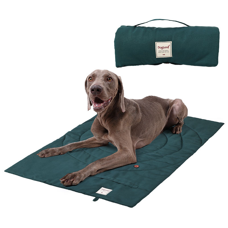 Tappetino per animali domestic - Outdoor Camping Rugs recensione e prezzo