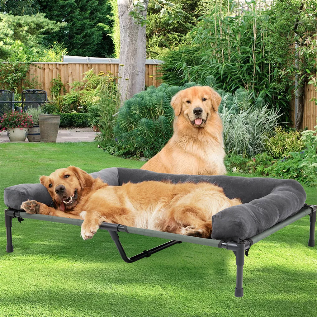 BINGOPAW Cuccia Rialzata per C - Outdoor Camping Dog Bed recensione e prezzo