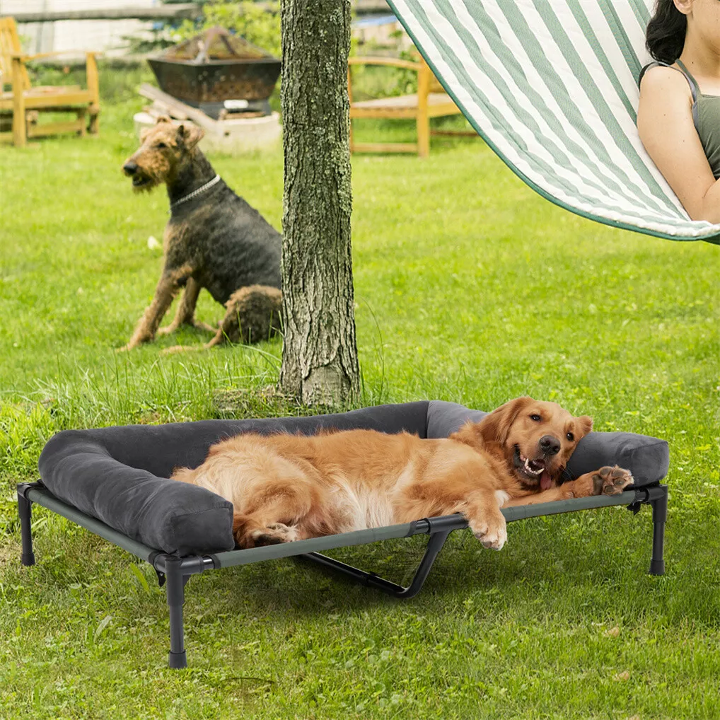 BINGOPAW Cuccia Rialzata per C - Outdoor Camping Dog Bed recensione e prezzo