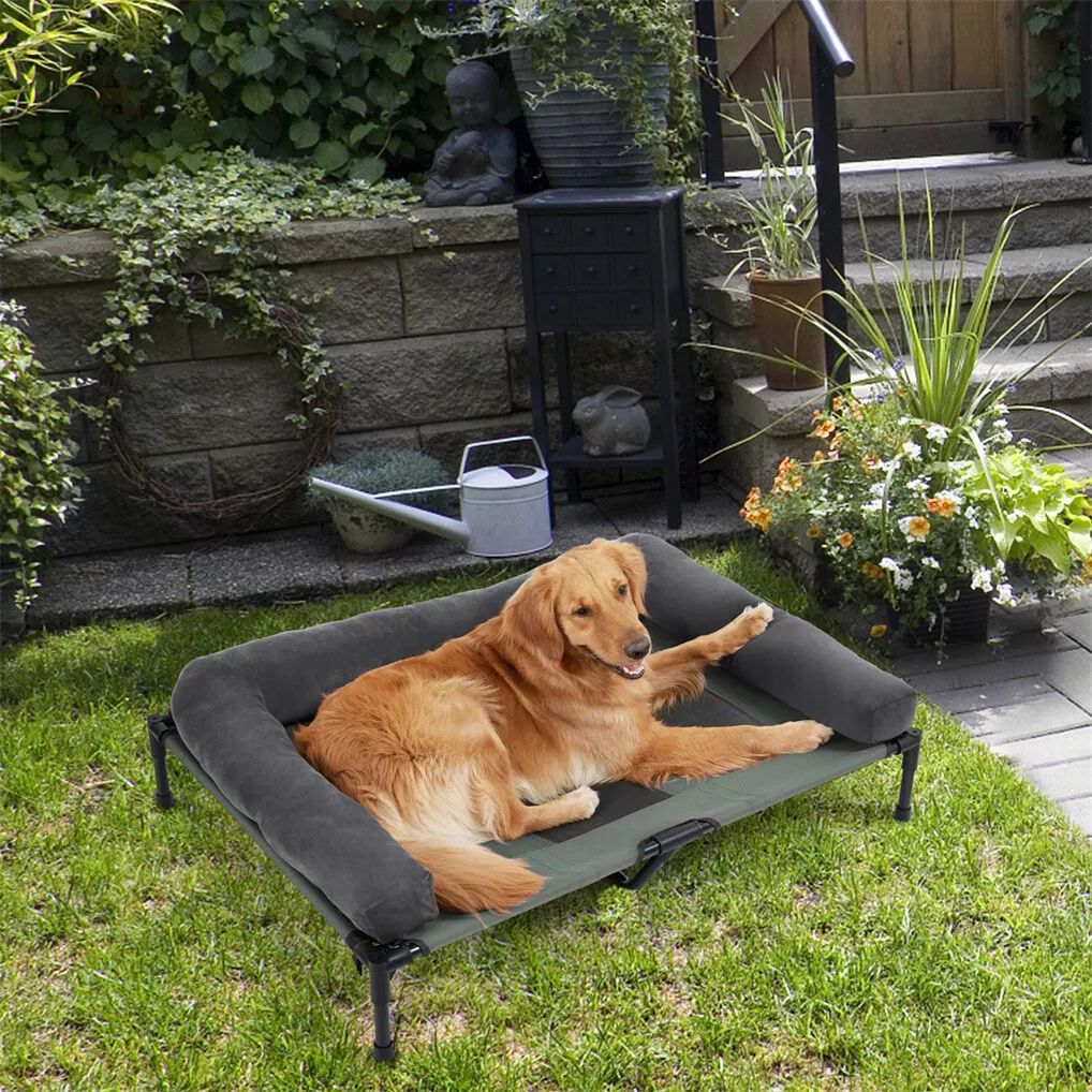 BINGOPAW Cuccia Rialzata per C - Outdoor Camping Dog Bed recensione e prezzo